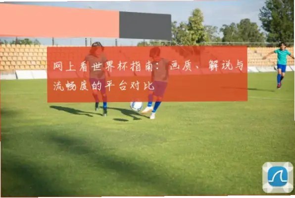 世界杯回放画质与流畅度对比指南