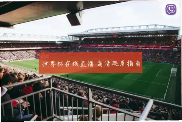 世界杯直播在线观看高清官方渠道指南
