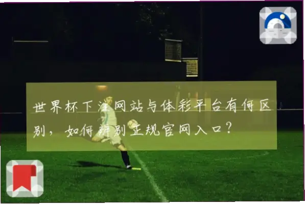世界杯下注网与普通博彩站本质区别